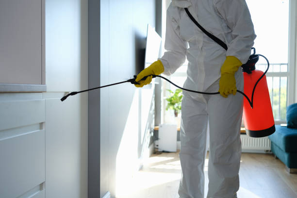 Best Residential Mold Removal  in Syracuse, IN